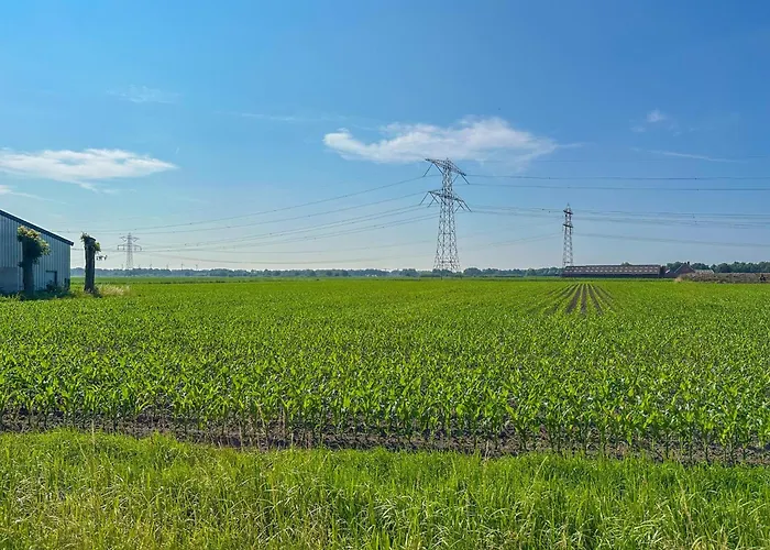 Dorsvloer * Дриммелен